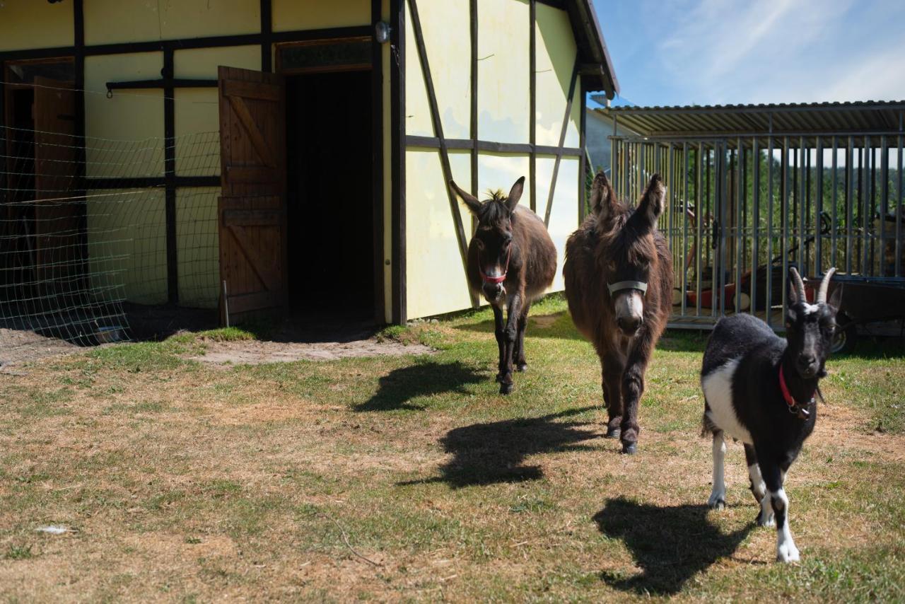 Holiday park Piastowy Dwor